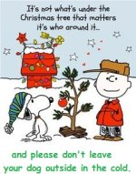 Snoopy_Christmas.jpg