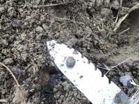 Musket Ball In The Hole - 20191228.jpg
