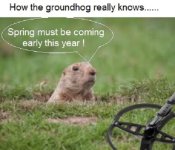 groundhogdetect.jpg