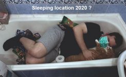 COVID_sleeping_location_2020.jpg