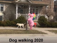 COVID_dog_walking_2020.jpg