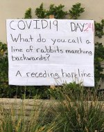 COVID_rabbits-marching.jpg