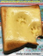 COVID_Cat-paw-prints-on-grilled_cheese.jpg
