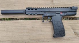 Kel Tec CP33 w GSL Woodland small.jpg