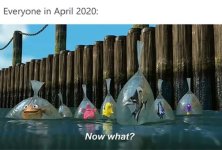 COVID_Everyone-in-April-2020-Finding-Nemo.jpg