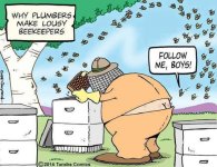 Why-plumbers-make-lousy-bee-keepers[1].jpg
