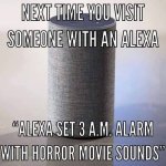 Next-time-you-visit-someone-with-an-alexa[2].jpg