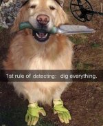 1st-rule-of-detecting.jpg