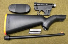 Henry US Surv 22lr semi auto 04.jpg