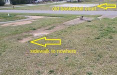 2021 sidewalk to nowhere.jpg