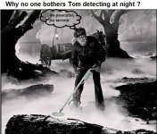 Tom-the_wolfman_detecting_at_night.jpg