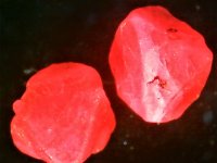 Spinel Tasmania 10X SW UV filtered.jpg