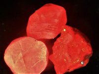 Spinel Burma 10X SW UV filtered light.jpg