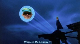 Mud-puppy signal.jpg