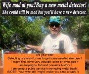 MD ad for metal detector2.jpg