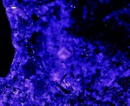 Sodalite grain in syenite, GMQ3, Saline Co., AR 15X, LWUV 365nm, no filter.jpg