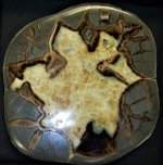 Septarian slab, Muddy Creek, Orderville, Kane Co., UT FOV = 5.5 in. natural light.jpg