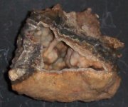 Smithsonite, north Searcy Co., AR, hand specimen, natural light.JPG
