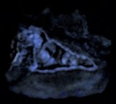 Smithsonite, north Searcy Co., AR, hand specimen, LWUV 365nm.JPG