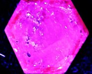 Ruby, polished crystal, India, 10X, unfiltered LWUV 365nm.jpg