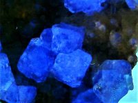 Fluorite, Elviram, Bauguers, Barcelona, Spain, 20X, SWUV 254nm.jpg