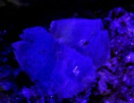 Fluorite, Giebelsbach, Rhona Valley, Valais, Switzerland 10X, LWUV 365nm.jpg