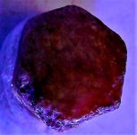 Ruby, Africa, 8.5 ct., LW 365nm.jpg