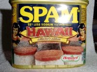 HawaiiEditionSpamCan-thumb.JPG