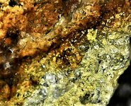 Rutherfordine blebs, Uranus Mine, Kleinruckerswalde, Saxony, Germany, 15X, natural light.jpg