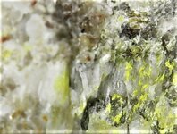 Phosphuranylite, Christa Mine, Upper Franconia, Bavaria, Germany, 25X, natural light.JPG