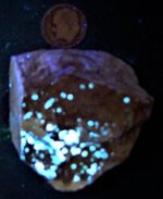 Wavellite on chert, Phosphate Qy., Kreamer, Middlecreek Twsp., Snyder Co., PA, US dime for sca...JPG