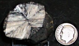 Chiastolite, a var. of Andalusite, Pestsovye Keivy, Keivy Mtns., Lovozersky District, Murmansk...JPG