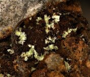 Sabugalite, Arcu su Linnorbu, Capoterra, Cagliari Province, Sardinia, Italy, 20X, natural light.JPG