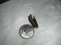 Need Help | Friendly Metal Detecting Forum