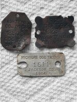 dogtags.jpeg