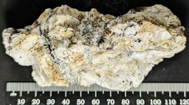 Sphalerite, var. Cleiophane, veins in Calcite, Franklin Mine, Franklin, Sussex Co., NJ, natura...jpg