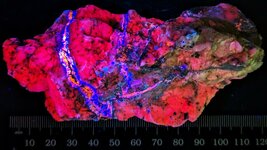 Sphalerite, var. Cleiophane, veins in Calcite, Franklin Mine, Franklin, Sussex Co., NJ, MW 310nm.jpg