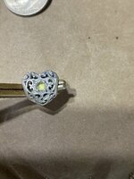 IMG_7967.jpeg