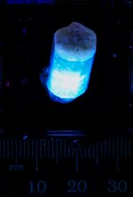 Fluorapatite, double terminated, Imilchi, Imilchi Cercela, Midelt Province, Morocco, MW 310nm.jpg