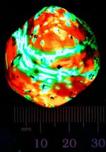 Calcite & Willemite, Franklin, Sussex Co., NJ, SW 254nm, polished cube.jpg