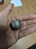 PXL_20240720_210521212.jpg