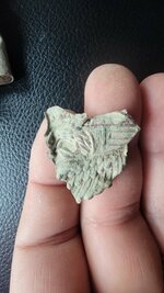 20240601_060743.jpg