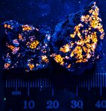 Syenite01, Ice River Alkaline Complex, Moose Creek Pegm., British Columbia, Canada, sodalite i...jpg