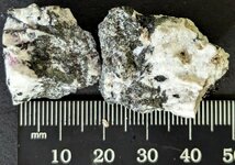 Syenite02, Ice River Alkaline Complex, Moose Creek Pegm., British Columbia, Canada, natural li...jpg