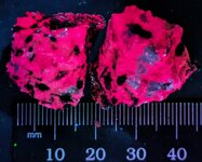 Syenite03, Ice River Alkaline Complex, Moose Creek Pegm., British Columbia, Canada, K-feldspar...jpg