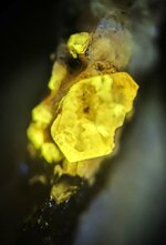 Garnet, grossular, Mont St. Hilaire, Quebec, Canada, MW 310nm, 24X.jpg