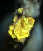 Garnet, grossular, Mont St. Hilaire, Quebec, Canada, SW 254nm, 24X.jpg