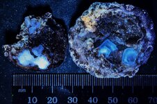 Calcite on quartz druse, Halls Gap, Lincoln Co., KY, LW 365nm.jpg