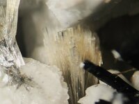 Elpidite, Mont St. Hilaire, Quebec, Canada, ~15X, natural light, S Stuart.jpg