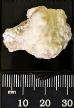Aragonite crust, Monte Cristo Mine, Rush Zn District, Marion Co., AR, natural light, gift of M...jpg